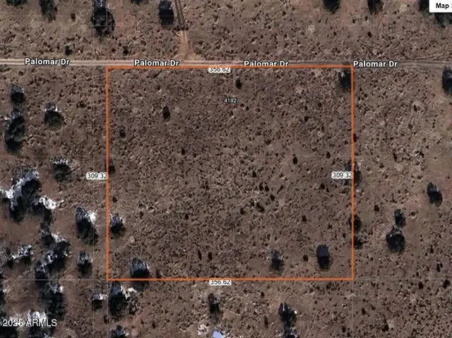 a view of a dry yard