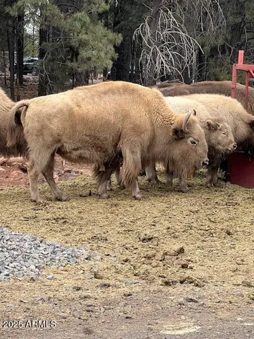 a view of a outdoor space