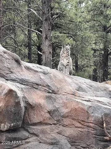 a view of a wooden door and a car parked