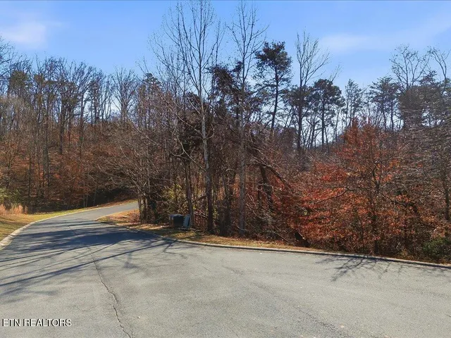 $54,995 | Lot 18 Cove Springs Drive, Dandridge, TN 37725