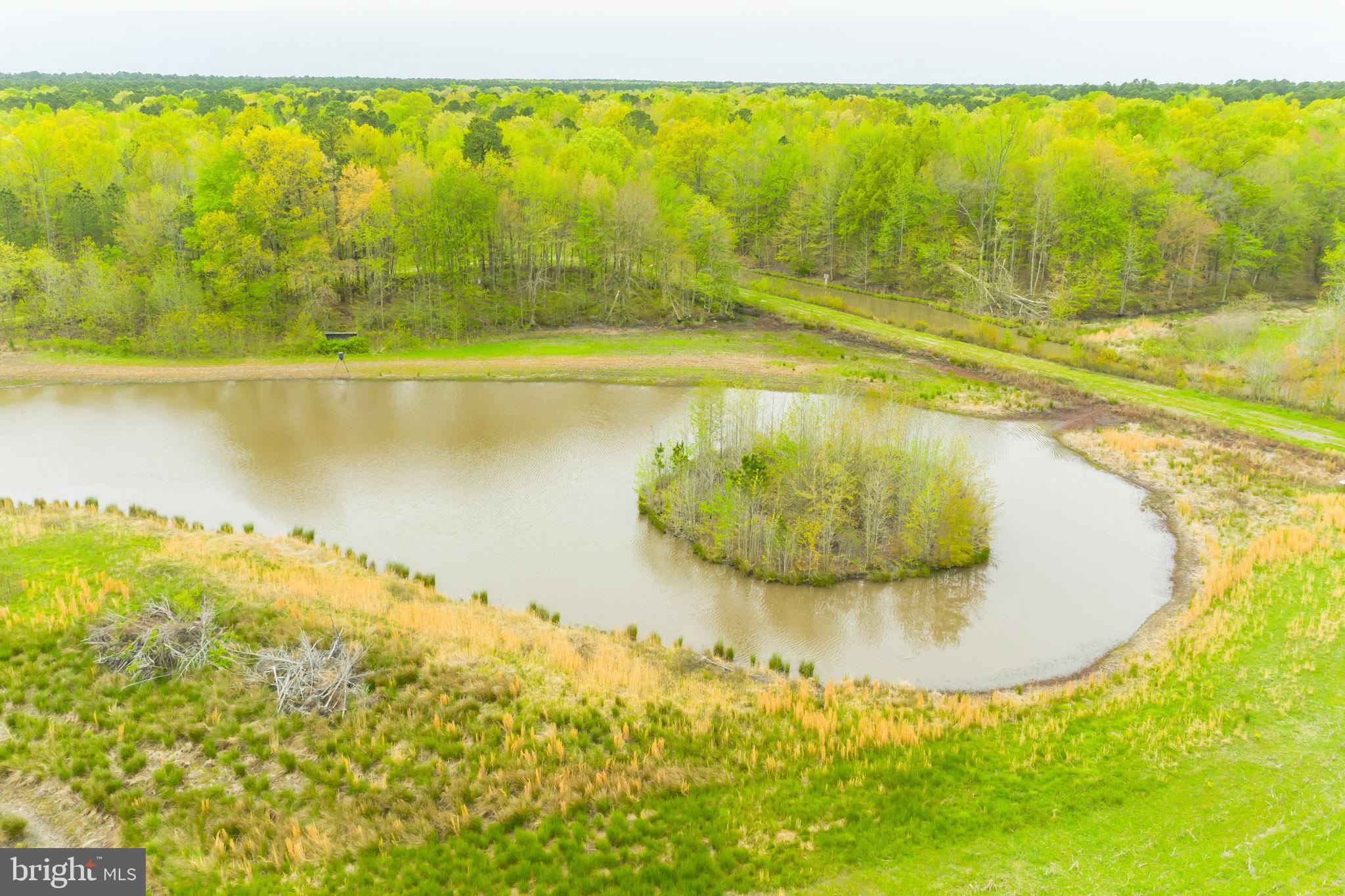 4340 Egypt Road Cambridge, MD 21613 - Photo 2 of 42 Aerial of Duck Hunting Pond