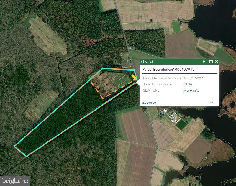4340 Egypt Road Cambridge, MD 21613 - Photo 17 of 42 Timber Tract Parcel