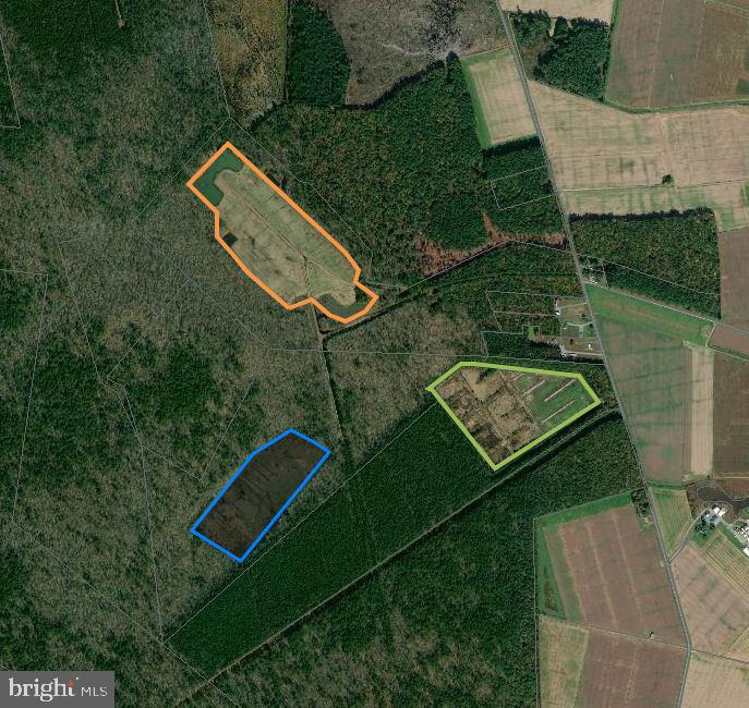 4340 Egypt Road Cambridge, MD 21613 - Photo 19 of 42 Property w tillage capicity (crops, food plots)