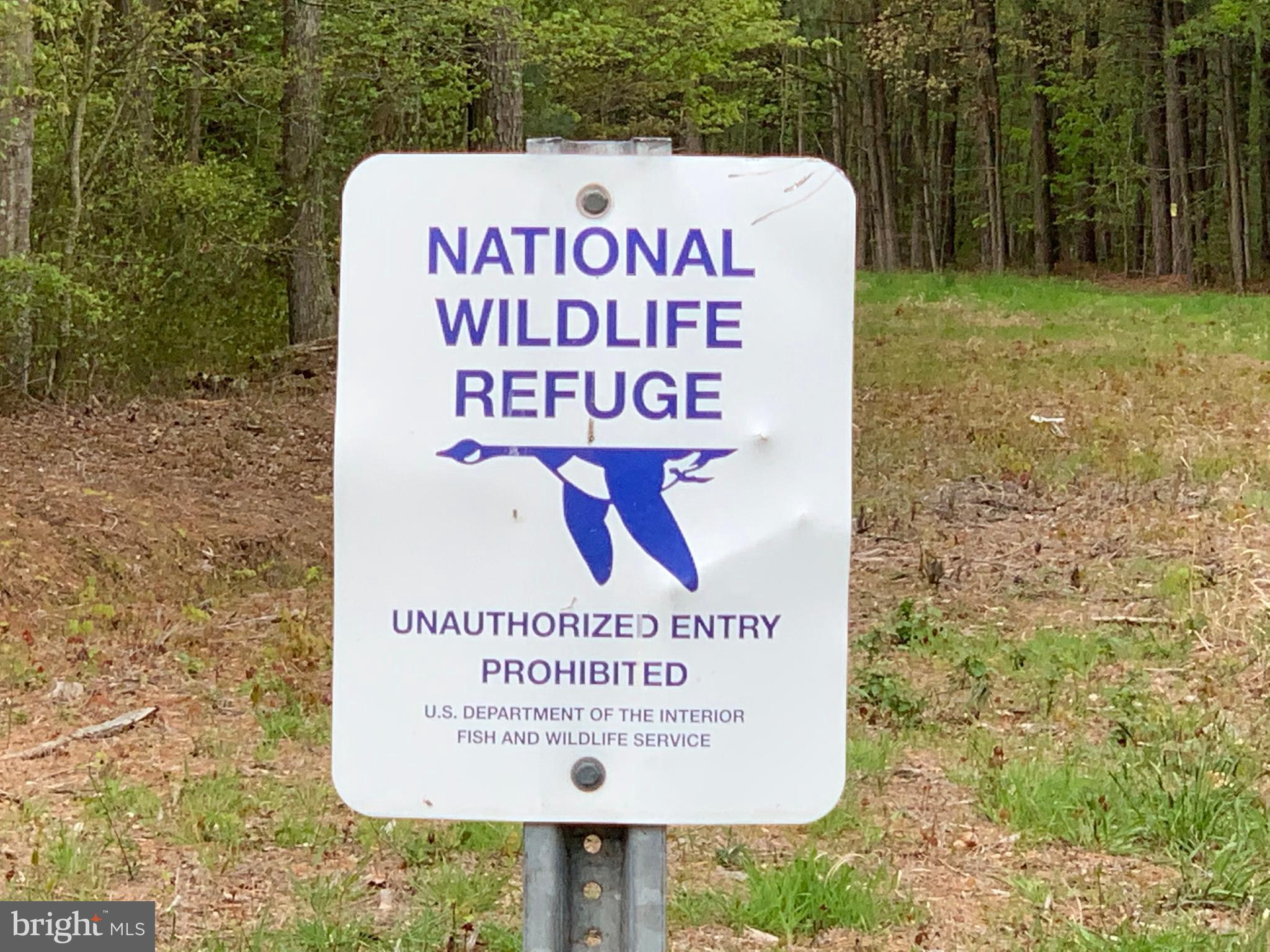 4340 Egypt Road Cambridge, MD 21613 - Photo 22 of 42 National Wildlife Refuge -a good neighbor