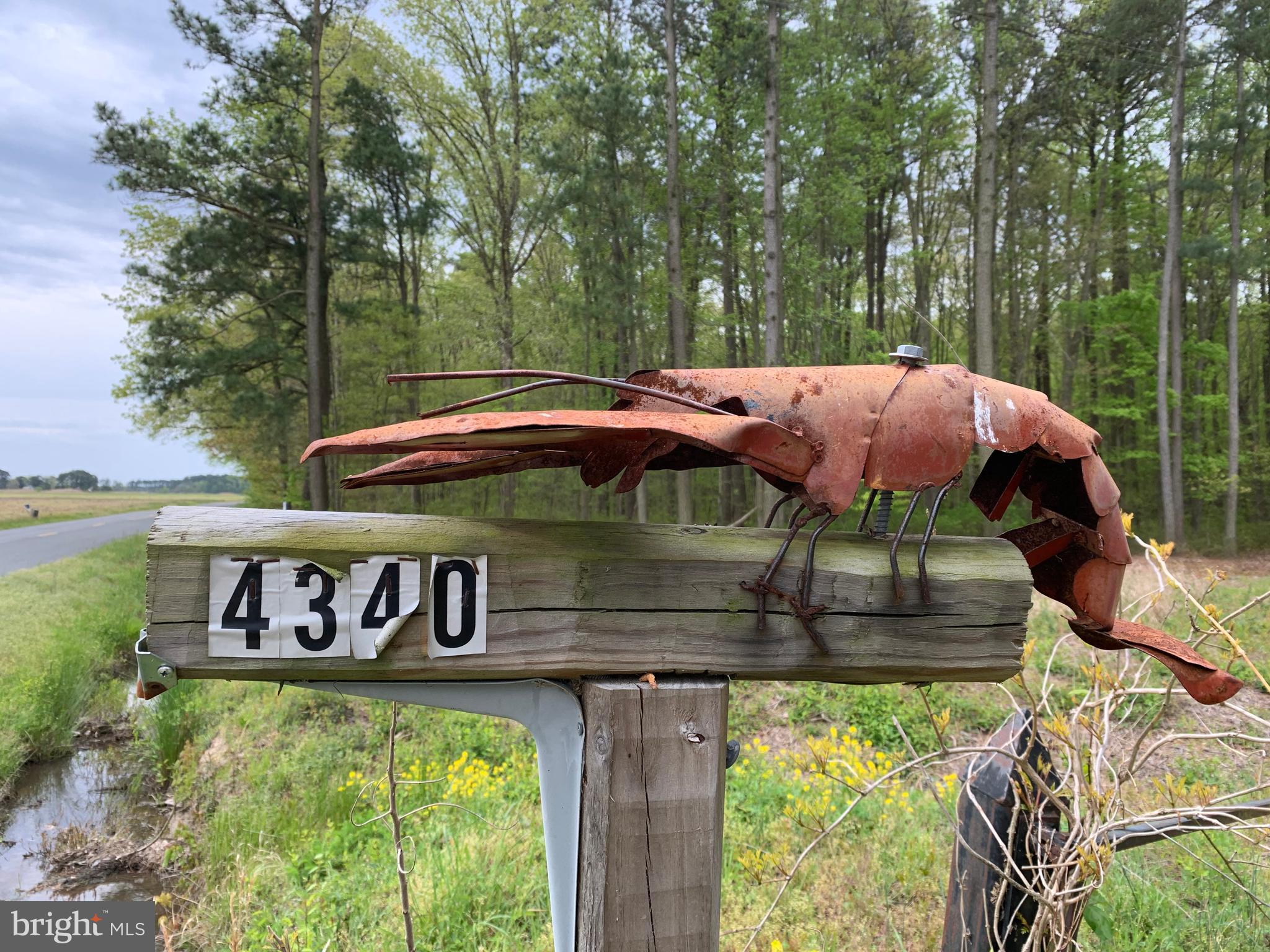 4340 Egypt Road Cambridge, MD 21613 - Photo 27 of 42 History as a Crayfish Farm