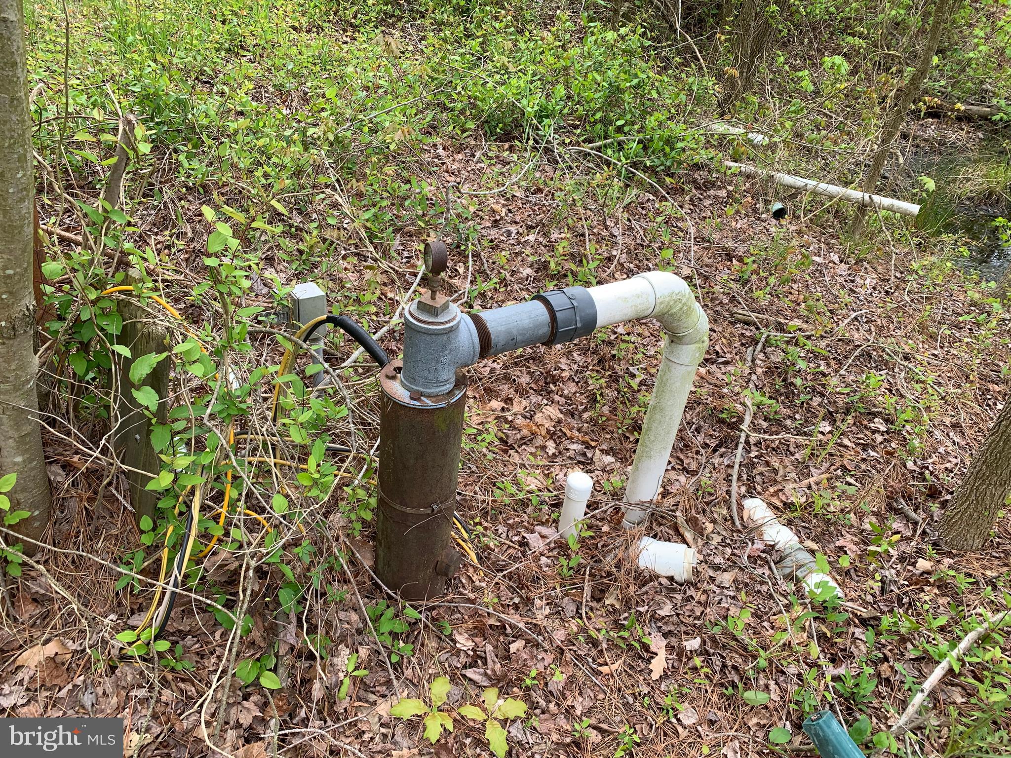 4340 Egypt Road Cambridge, MD 21613 - Photo 34 of 42 Well located near bermed fields