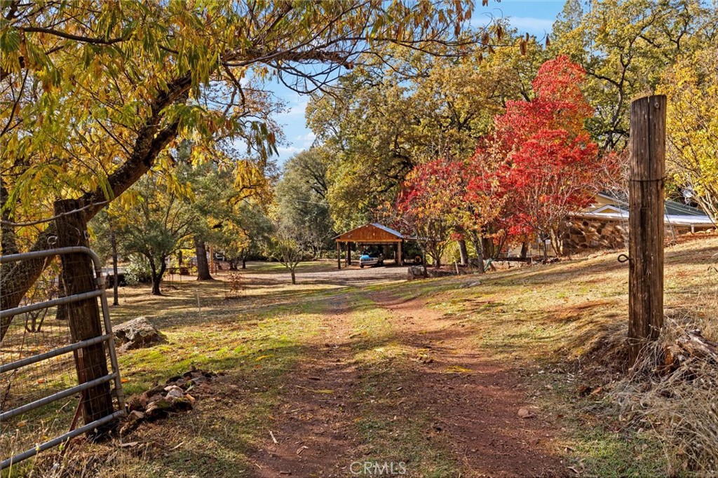 749 Hurleton Road Oroville, CA 95966 - Photo 36 of 58 Autumn