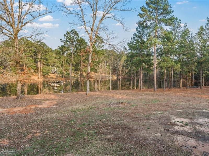 128 Gas Plant Road Doyline, LA 71023 - Photo 23 of 39 a view of a field with trees in the background