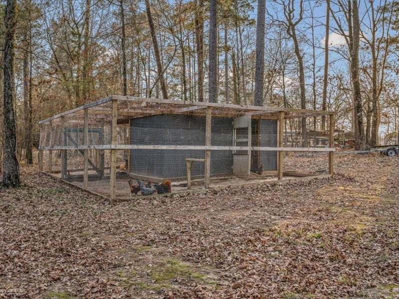 128 Gas Plant Road Doyline, LA 71023 - Photo 24 of 39 a large tree in front of a house