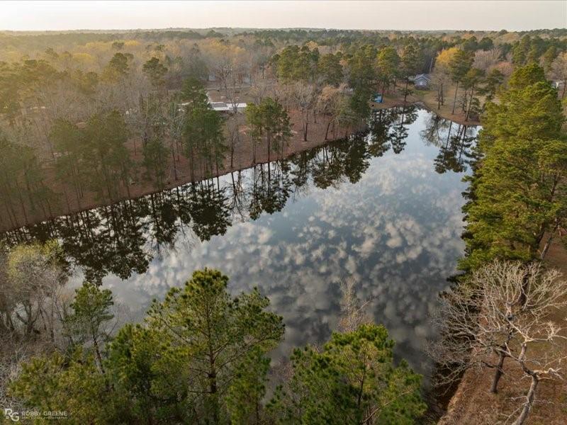128 Gas Plant Road Doyline, LA 71023 - Photo 34 of 39 a view of a forest with a forest