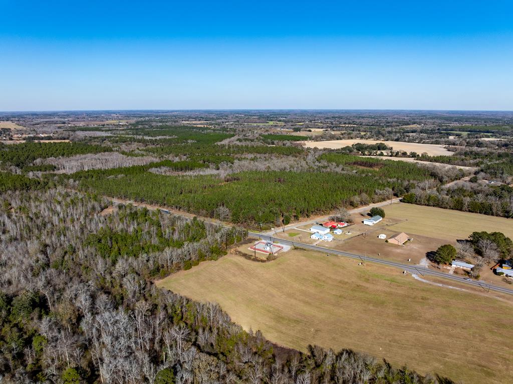 Lot 3-15 -ac Cottonwood Rd/ Phillips Road Cottonwood, AL 36320 - Photo 32 of 49