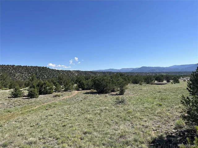 $295,000 | 14973 Chalk Creek Drive, Nathrop, CO 81236