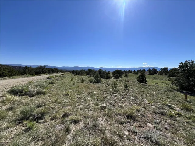 $295,000 | 14973 Chalk Creek Drive, Nathrop, CO 81236
