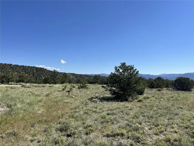$295,000 | 14973 Chalk Creek Drive, Nathrop, CO 81236