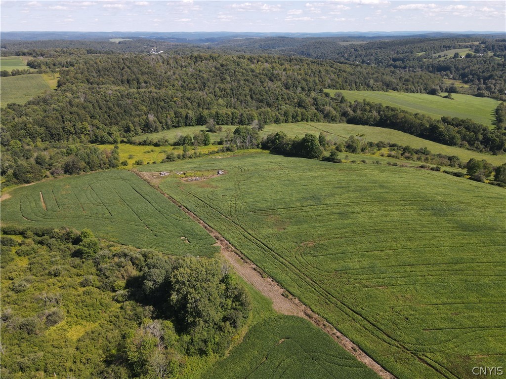 0 Roberts Road Eaton, NY 13334 - Photo 16 of 19 Gallery Image 16