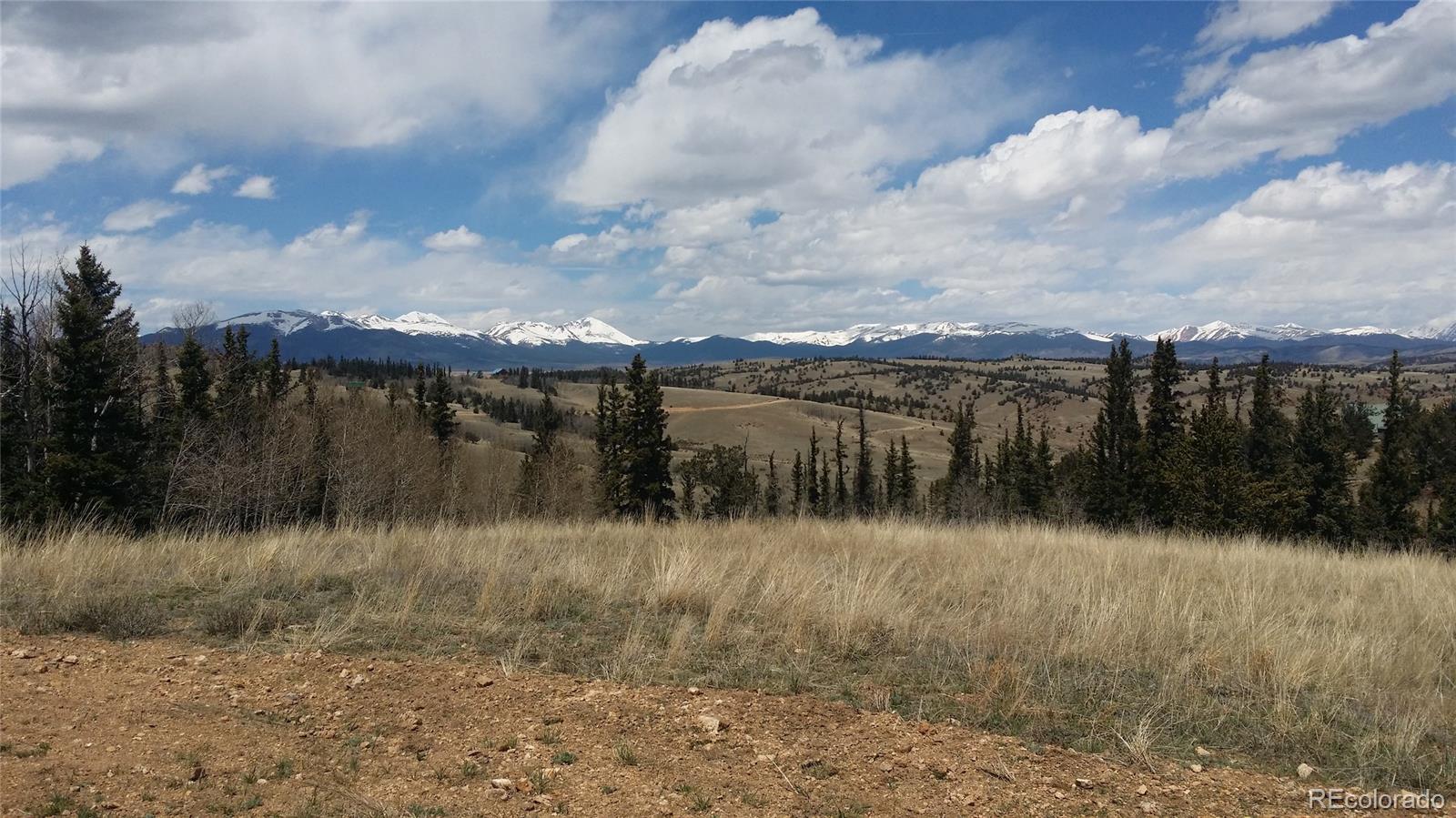 201 Australian Road Jefferson, CO 80456 - Photo 4 of 8