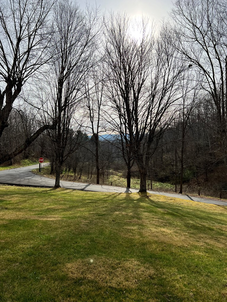 406 Windsor Road Rural Retreat, VA 24368 - Photo 6 of 26 Gallery Image 6
