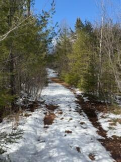 Lot 068002 Shore Road Bremen, ME 04551 - Photo 4 of 4 4_Lot068002ShoreRdBremen