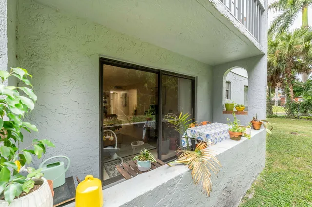 a living room filled with furniture and a potted plant