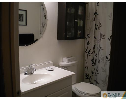 123 Redpine Loop Old Bridge, NJ 08857 - Photo 11 of 24 a bathroom with a sink and a mirror