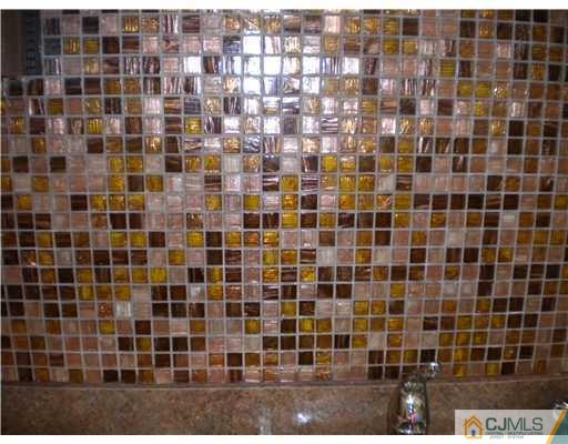 123 Redpine Loop Old Bridge, NJ 08857 - Photo 20 of 24 a bathroom with a shower