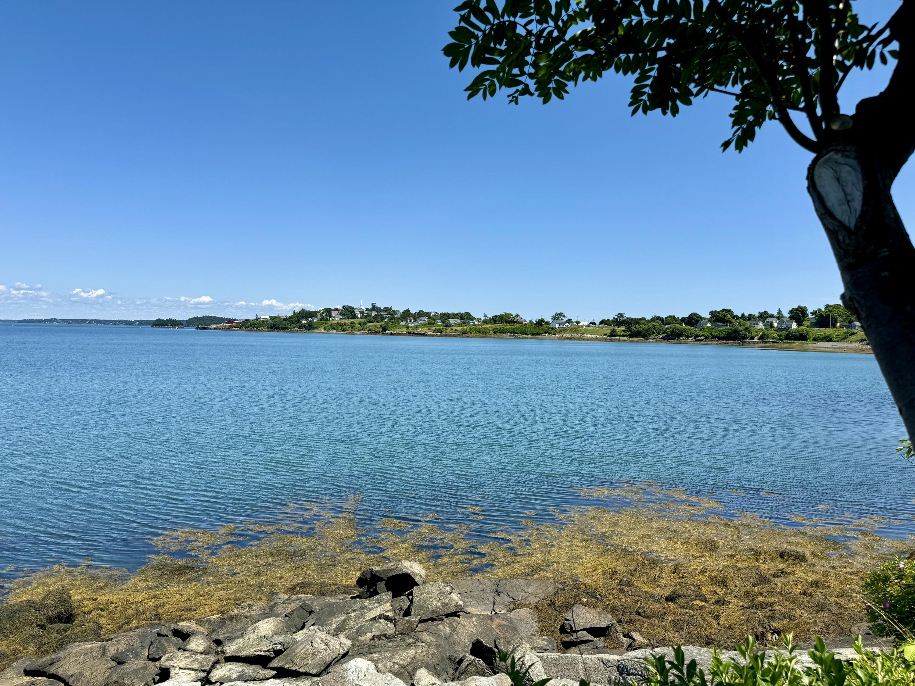 54 Diamond Point Road Lubec, ME 04652 - Photo 89 of 100 IMG_2647