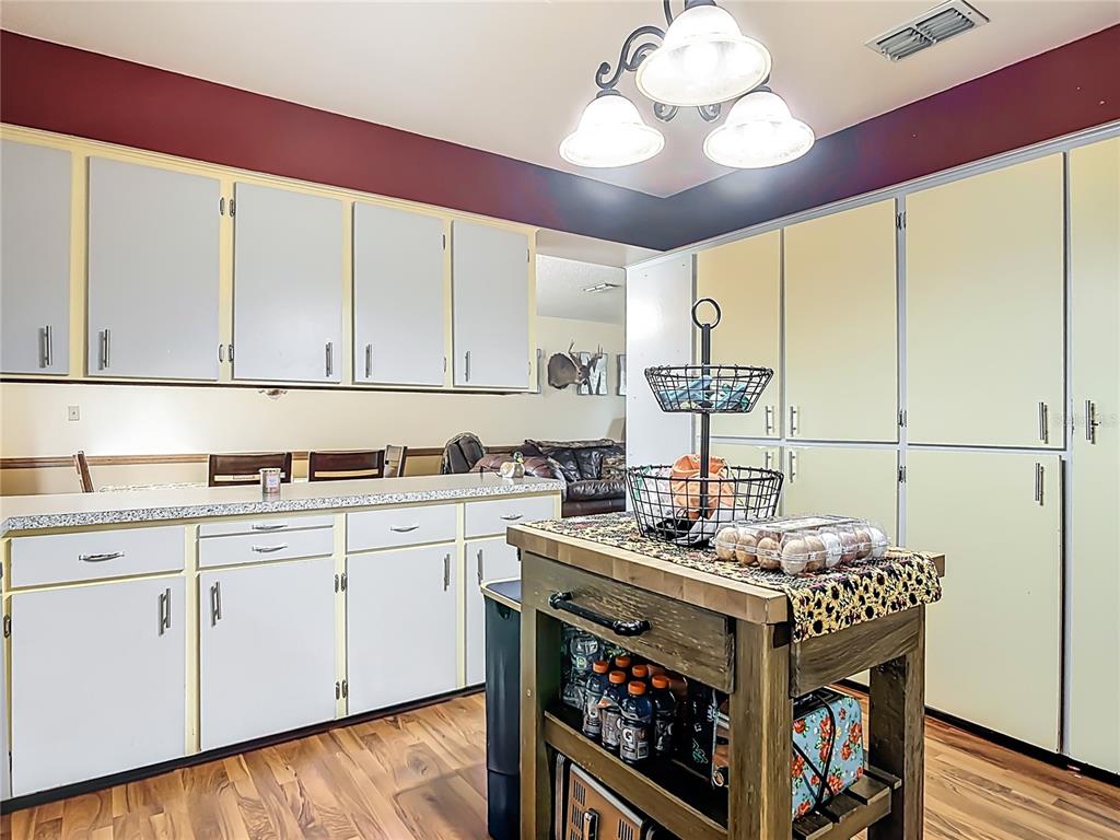 24046 Bobcat Road Astor, FL 32102 - Photo 18 of 50