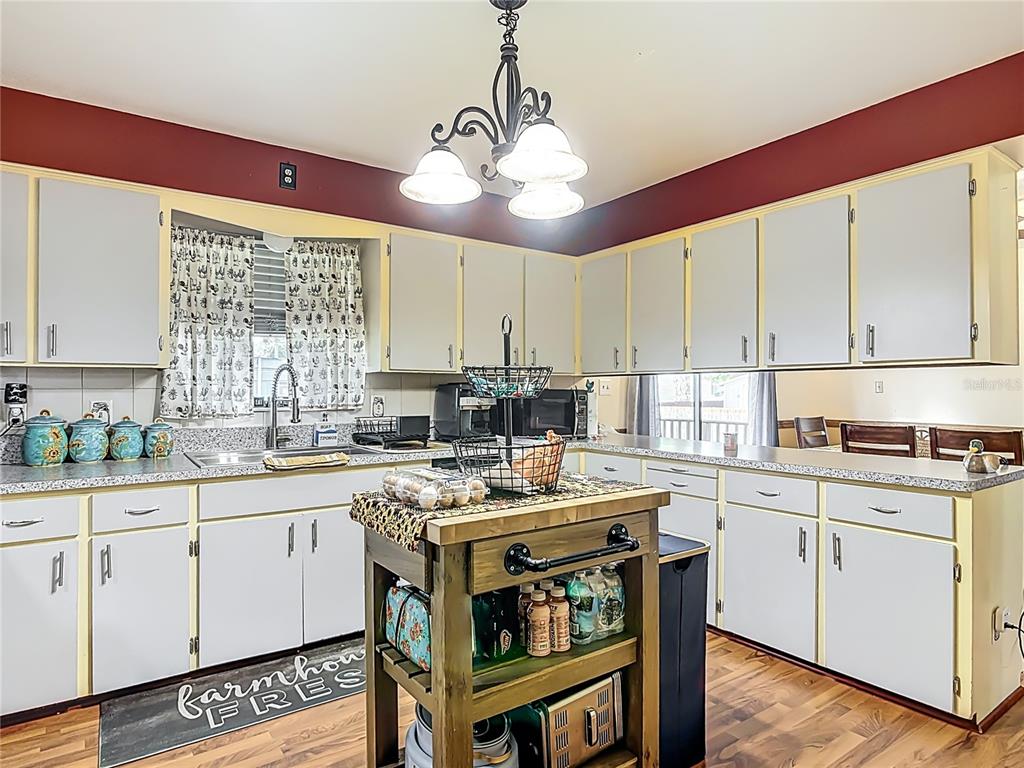 24046 Bobcat Road Astor, FL 32102 - Photo 19 of 50