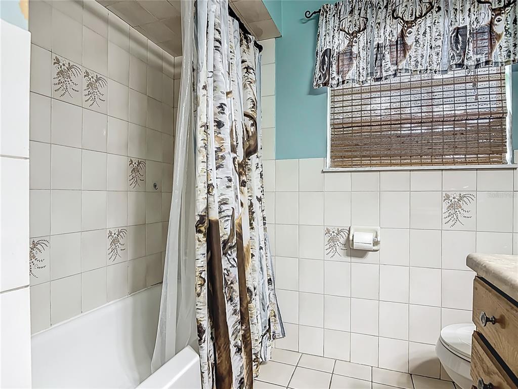 24046 Bobcat Road Astor, FL 32102 - Photo 34 of 50