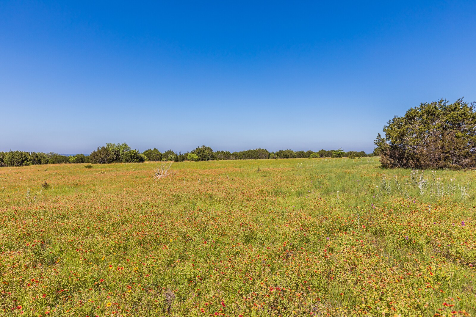 3300 County Road 3300 Kempner, TX 76539 - Photo 11 of 24