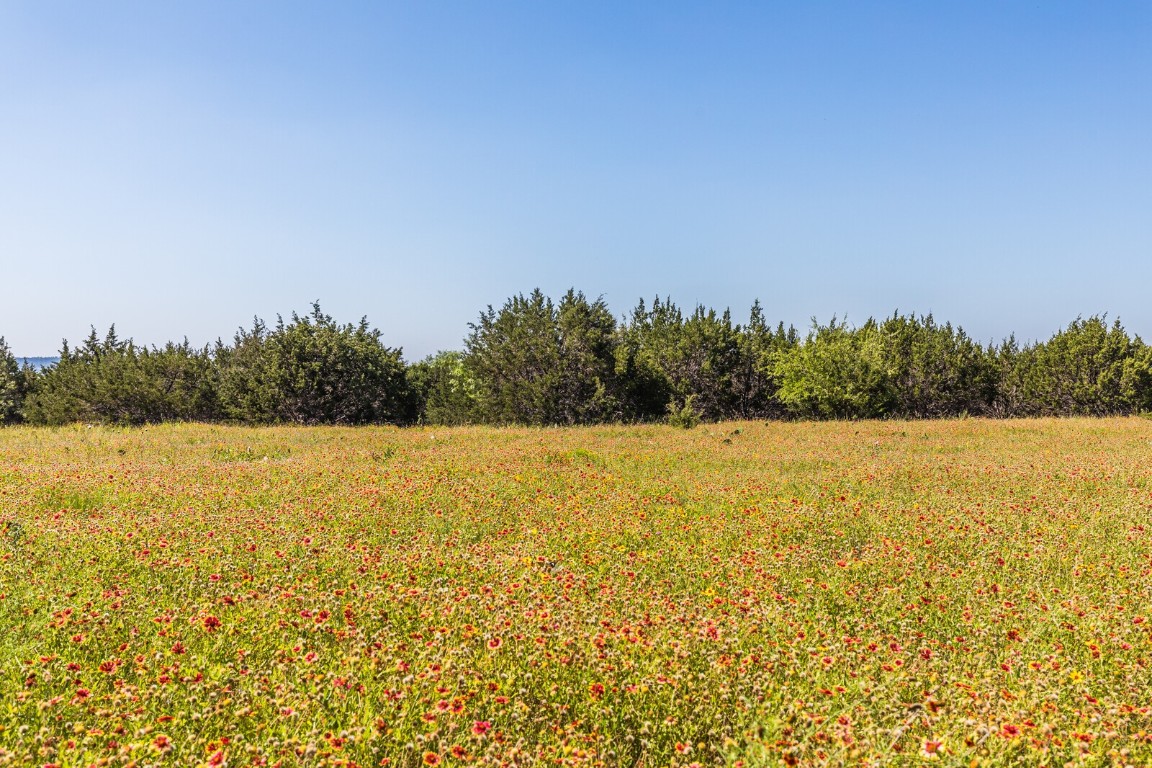 3300 County Road 3300 Kempner, TX 76539 - Photo 12 of 24