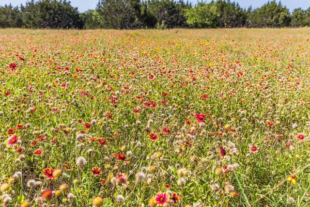 $391,500 | 3300 County Road 3300, Kempner, TX 76539