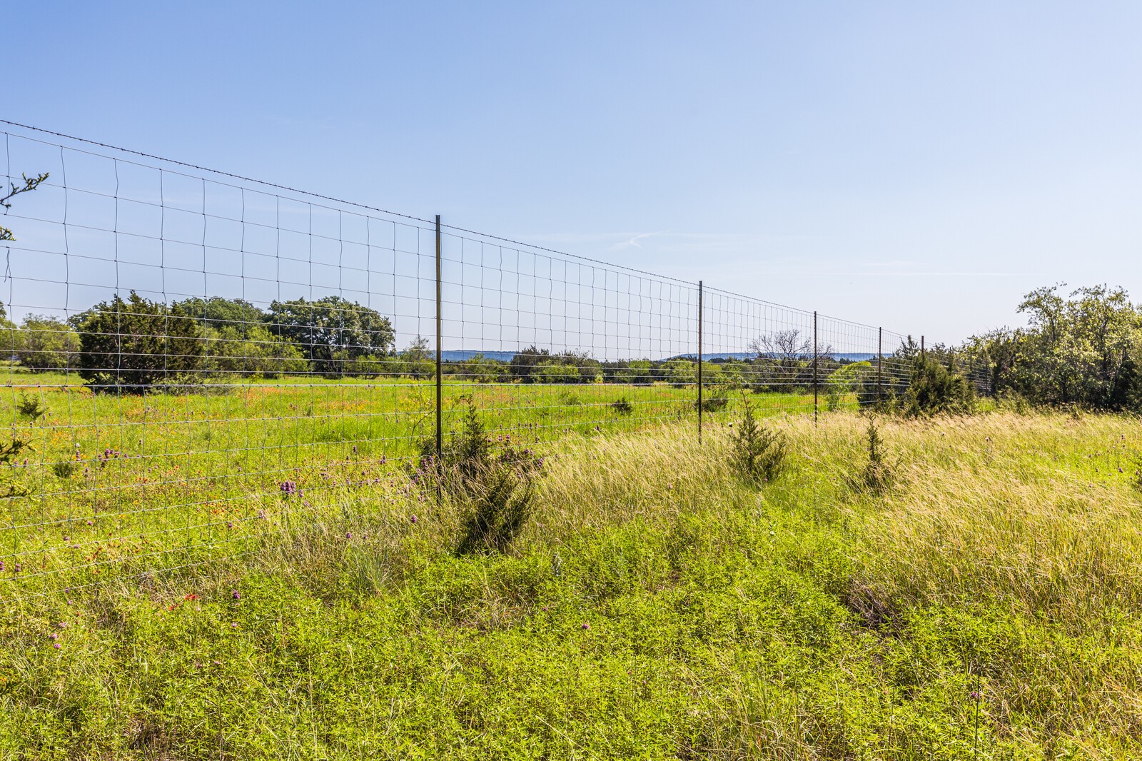 3300 County Road 3300 Kempner, TX 76539 - Photo 20 of 24