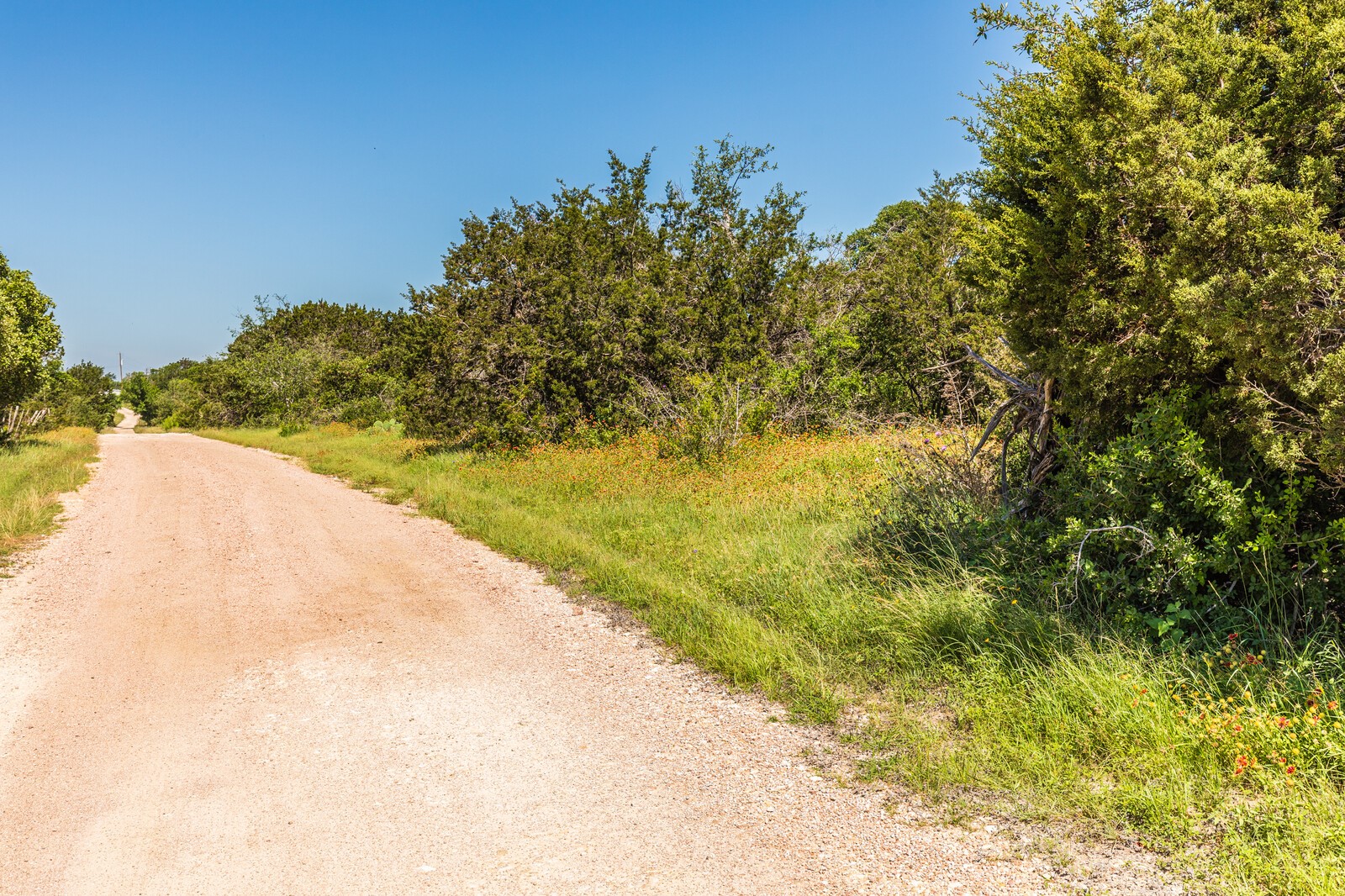 3300 County Road 3300 Kempner, TX 76539 - Photo 22 of 24