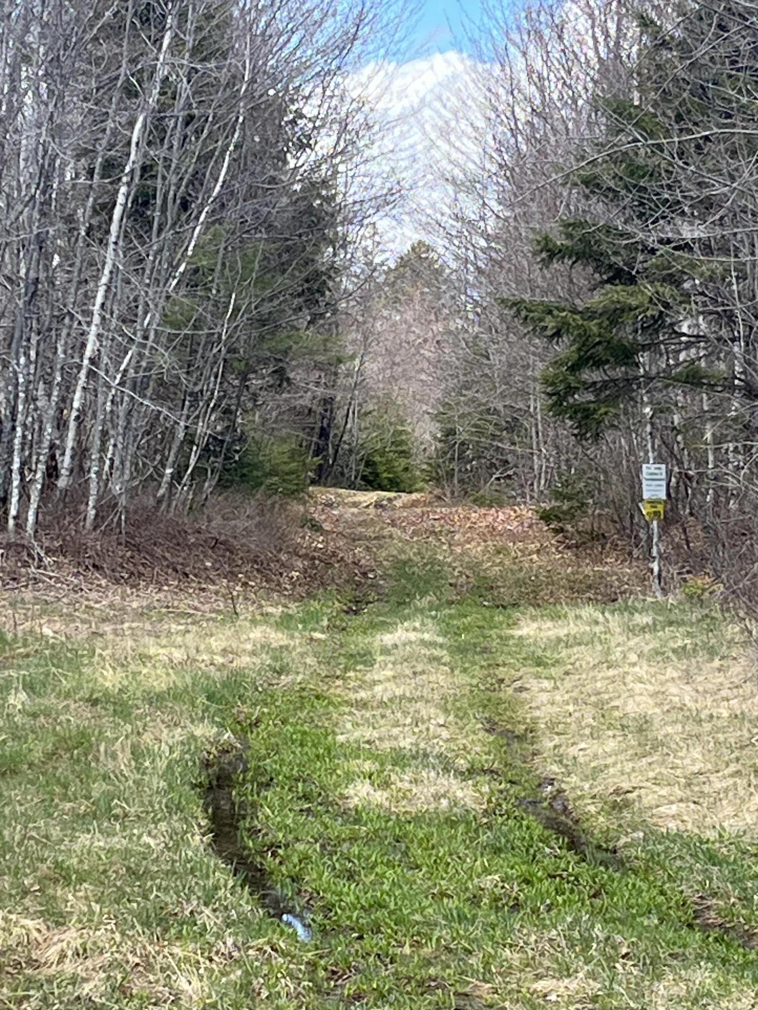 M13-l30 Old Calais Road Danforth, ME 04424 - Photo 3 of 5 IMG_4196