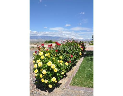 5561 Grain Mill Road Pahrump, NV 89061 - Photo 17 of 24 Yard/Garden.