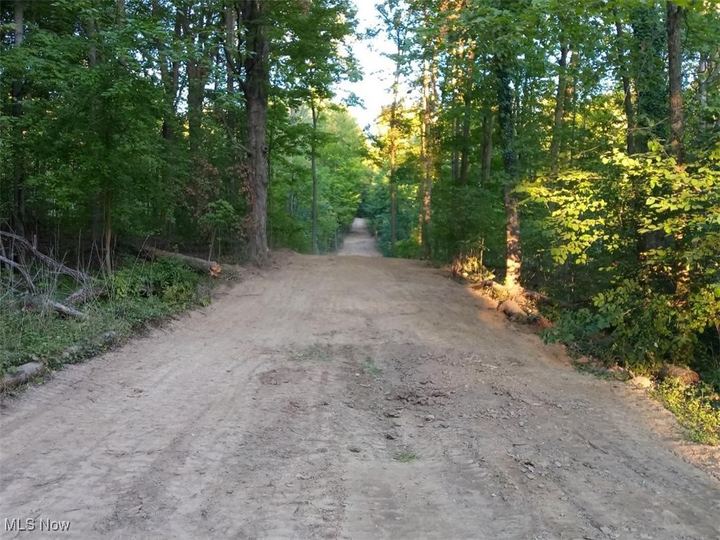 Cleared entrance to park or walk onto the property from Vandemark Road