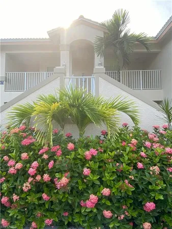 a view of a flower in a garden