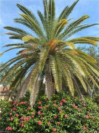a backyard of a house