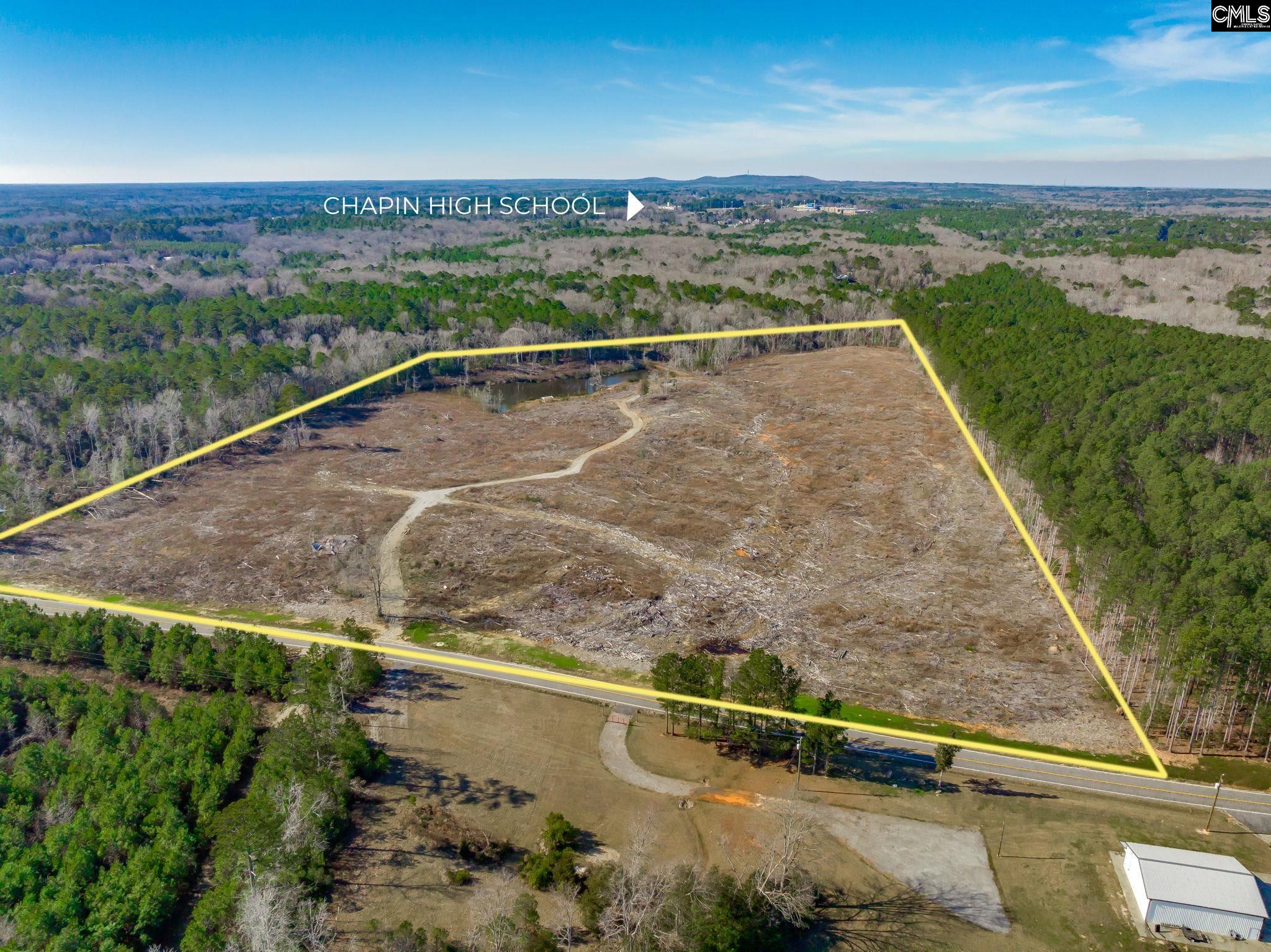 501 Crooked Creek Road Chapin, SC 29036 - Photo 2 of 28