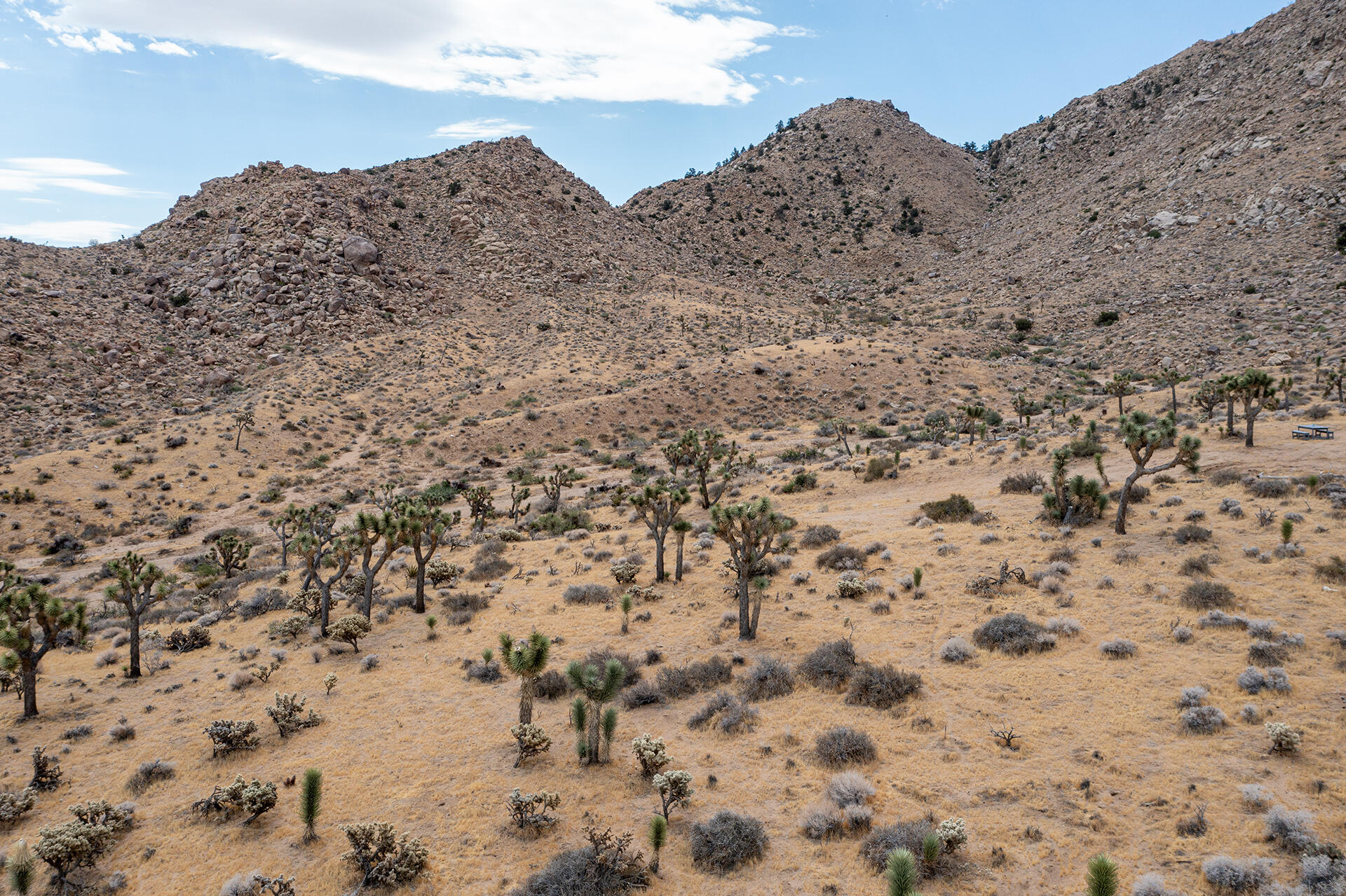 8021 Wesley Road Joshua Tree, CA 92252 - Photo 19 of 25 DJI_0097