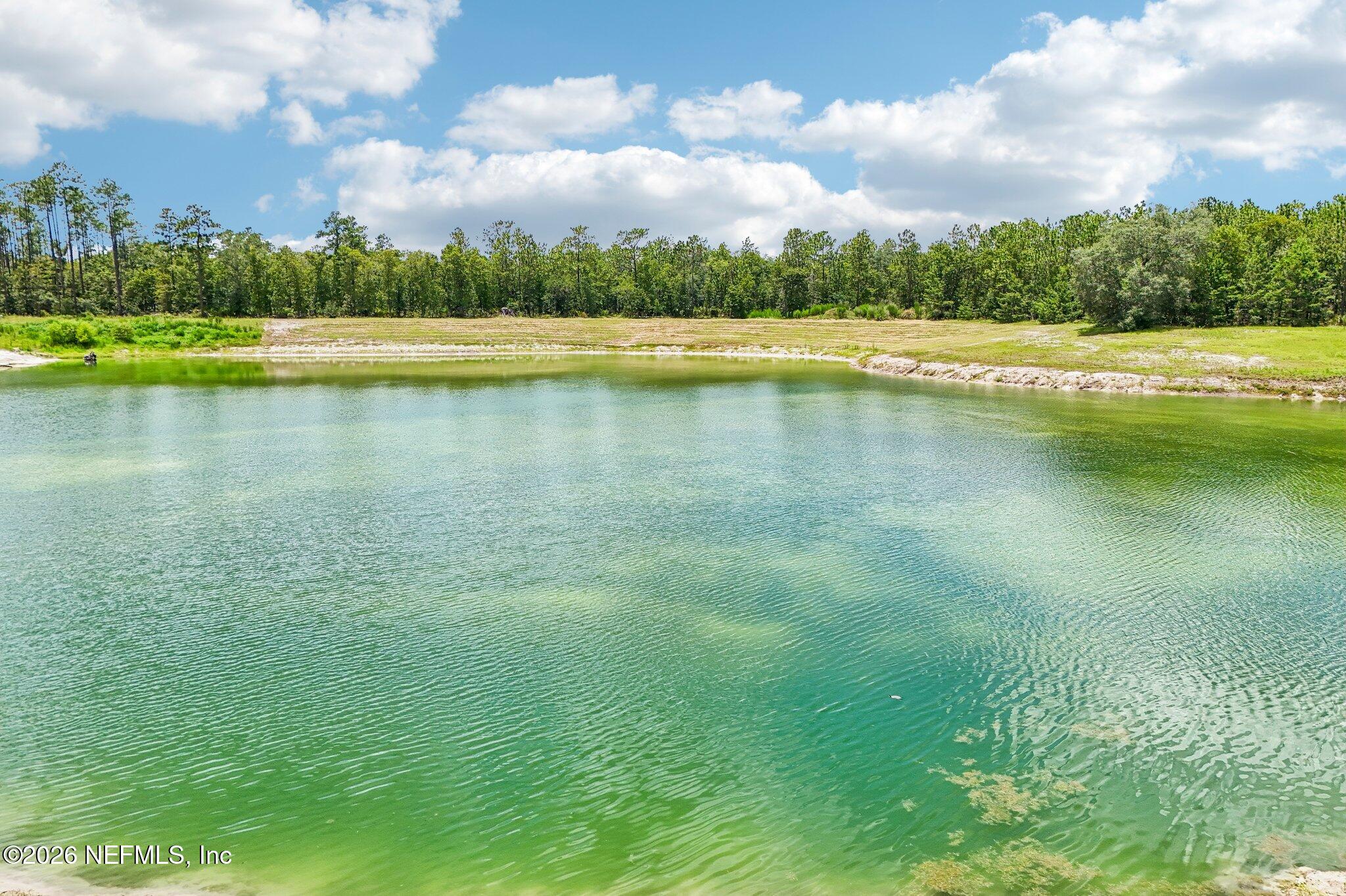 0 Thunder Road Middleburg, FL 32068 - Photo 4 of 19 2-web-or-mls-Thunder Rd-S1707-002
