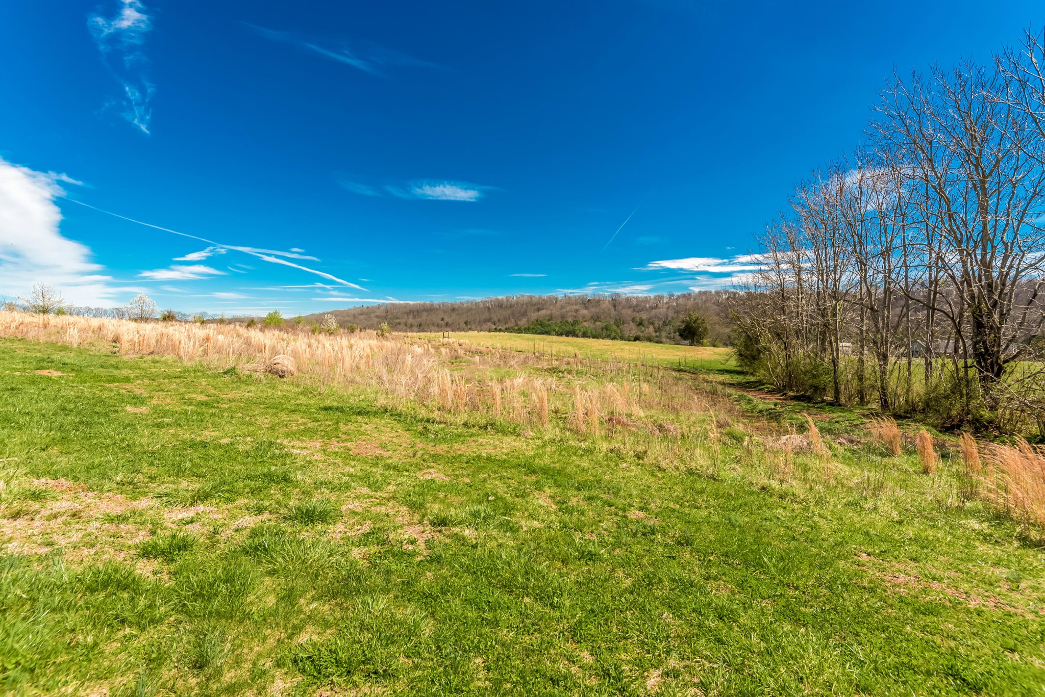 2641 Stockton Valley Road Loudon, TN 37774 - Photo 31 of 37 Gallery Image 31