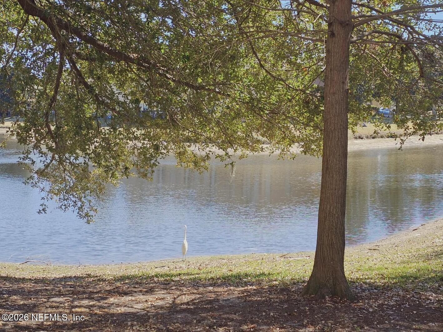 7826 Melvin Road Jacksonville, FL 32210 - Photo 2 of 17 a view of a lake