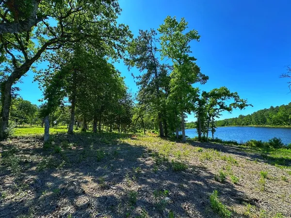 a view of backyard with tree