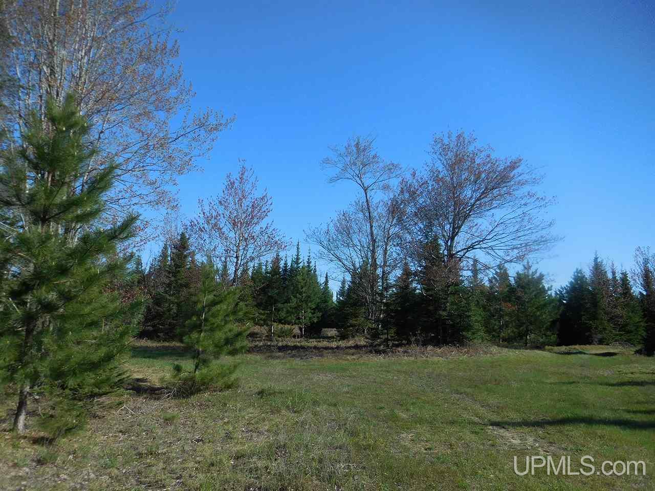1480 Acres On Co Road Manistique, MI 49854 - Photo 6 of 49
