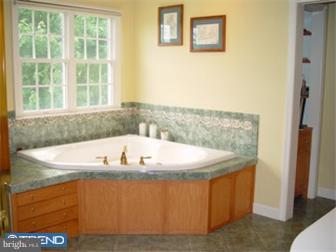 386 North Buck Road Downingtown, PA 19335 - Photo 8 of 12 Bathroom