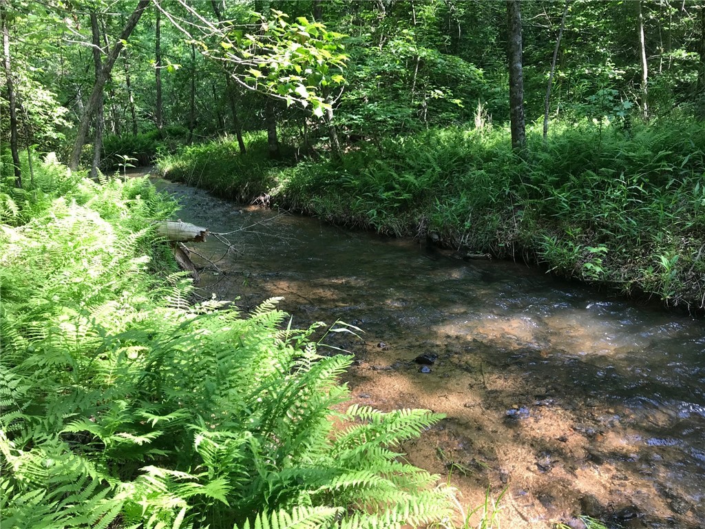 680 Rocking Chair Lane Mountain Rest, SC 29664 - Photo 2 of 50 Meandering creek 1/4 mile from house