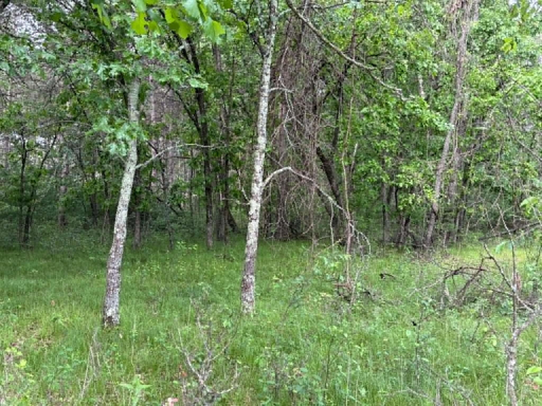 Lot 13 19th Friendship, WI 53934 - Photo 15 of 18