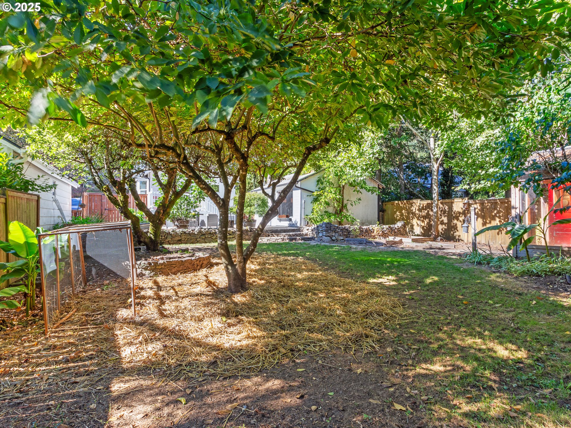 912 Northwest Fargo Street Camas, WA 98607 - Photo 41 of 44 a view of a yard with a tree